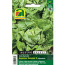 Kopfsalat "Kagraner Sommer 2" - Kopfsalat "Kagraner Sommer 2"