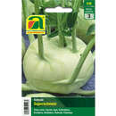 Kohlrabi "Superschmelz" - Kohlrabi "Superschmelz"