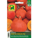 Kürbis "Uchiki Kuri" (Hokkaido-Typ) - Kürbis "Uchiki Kuri" (Hokkaido-Typ)