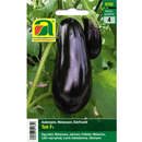 Aubergine/Melanzani "Teti F1" - Aubergine/Melanzani "Teti F1"