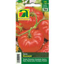 Tomate "Marmande" - Tomate "Marmande"