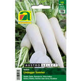 Rettich "Lindegger Sommer" - Rettich "Lindegger Sommer"