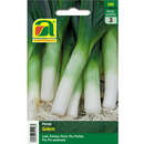 Porree "Golem" - Porree "Golem"