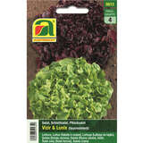 Schnittsalat "Vizir & Lunix" Duopack - Schnittsalat "Vizir & Lunix" Duopack