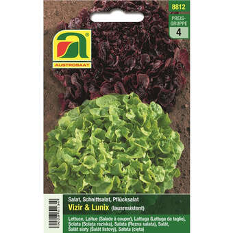 Schnittsalat "Mathix &Vizir" Duopack
