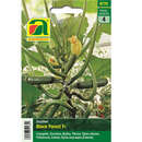 Zuchhini "Black Forest F1" - Zuchhini "Black Forest F1"