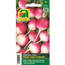 Radieschen "Rundes halbrot-halbweiss" - Radieschen "Rundes halbrot-halbweiss"