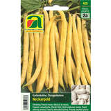 Stangenbohne "Neckargold" - Stangenbohne "Neckargold"