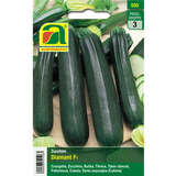 Zucchini "Diamant F1" - Zucchini "Diamant F1"