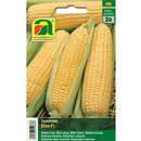 Zuckermais "Elan F1" - Zuckermais "Elan F1"