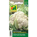 Karfiol "Bola de nieve", Snowball X - Karfiol "Bola de nieve", Snowball X