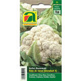 Karfiol "Bola de nieve", Snowball X - Karfiol "Bola de nieve", Snowball X