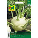 Kohlrabi "Luna" - Kohlrabi "Luna"