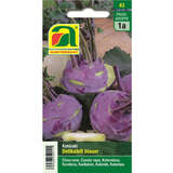 Kohlrabi "Delikateß blauer" - Kohlrabi "Delikateß blauer"