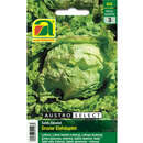 Eissalat "Grazer Eishäuptel" - Eissalat "Grazer Eishäuptel"