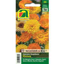 Ringelblume "Mischung" - Ringelblume "Mischung"