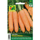 Karotten, Möhren "Berlicum 2 (Romosa)" - Karotten, Möhren "Berlicum 2 (Romosa)"