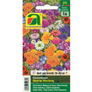 Blumenrasen "Niedrige Sommerblumen Mischung" - Blumenrasen "Niedrige Sommerblumen Mischung"
