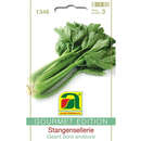 Stangensellerie "Géant doré amélioré" - Stangensellerie "Géant doré amélioré"