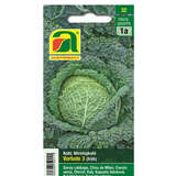 Wirsingkohl " Vorbote 3" - Wirsingkohl " Vorbote 3"