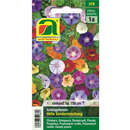 Schlingpflanzen "Hohe Sondermischung" - Schlingpflanzen "Hohe Sondermischung"