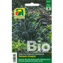 Palmkohl, Grünkohl BIO "Nero di Toscana" - Palmkohl, Grünkohl BIO "Nero di Toscana"