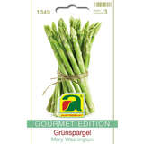 Grünspargel "Mary Washington" - Grünspargel "Mary Washington"