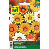 Mittagsgold "Mischung" - Mittagsgold "Mischung"