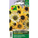 Sonnenblumen "Einfache Mischung" - Sonnenblumen "Einfache Mischung"
