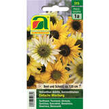 Sonnenblumen "Einfache Mischung" - Sonnenblumen "Einfache Mischung"