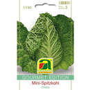 Mini-Spitzkohl "Walla" - Mini-Spitzkohl "Walla"
