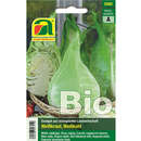 Weißkraut, Weißkohl BIO "Filderkraut" - Weißkraut, Weißkohl BIO "Filderkraut"