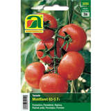 Tomate "Montfavet 63-5 F1" - Tomate "Montfavet 63-5 F1"