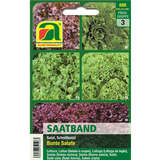 Schnittsalate "Bunte Salate" - Saatband - Schnittsalate "Bunte Salate" - Saatband