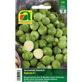 Rosen-/Sprossenkohl "Dolores F1" - Rosen-/Sprossenkohl "Dolores F1"