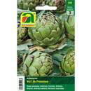 Artischocke "Verte de Provence" - Artischocke "Verte de Provence"