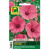 Bechermalve "Ruby Regis" - Bechermalve "Ruby Regis"