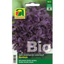 Basilikum BIO rotblättrig - Basilikum BIO rotblättrig