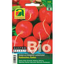 Radieschen BIO "Wiener Rotes Treib®" - Radieschen BIO "Wiener Rotes Treib®"