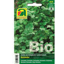 Koriander BIO - Koriander BIO