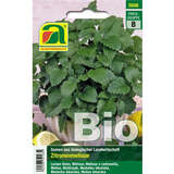 Zitronenmelisse BIO - Zitronenmelisse BIO