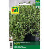 Thymian - Thymian