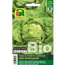 Kopfsalat BIO "Neusiedler Gelber Winter" - Kopfsalat BIO "Neusiedler Gelber Winter"