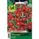 Zinnien "Profusion Cherry" - Zinnien "Profusion Cherry"