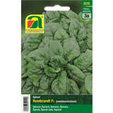 Spinat "Rembrandt F1" - Spinat "Rembrandt F1"