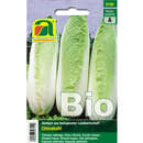 Chinakohl BIO "Granaat" - Chinakohl BIO "Granaat"