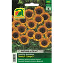Sonnenblumen "Sunrich Orange F1" - Sonnenblumen "Sunrich Orange F1"