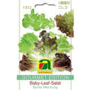 Baby-Leaf-Salat "Bunte Mischung" - Baby-Leaf-Salat "Bunte Mischung"