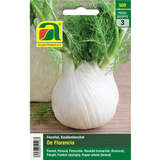 Karfiol "Igloo" - Karfiol "Igloo"