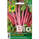 Mangold BIO "Rhubarb Chard" - Mangold BIO "Rhubarb Chard"